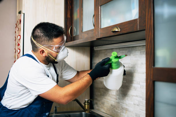 Best Residential Pest Control  in Erin, TN