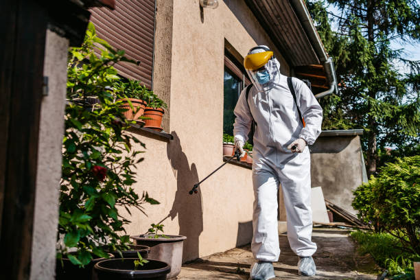 Wasp Removal Services in Erin, TN