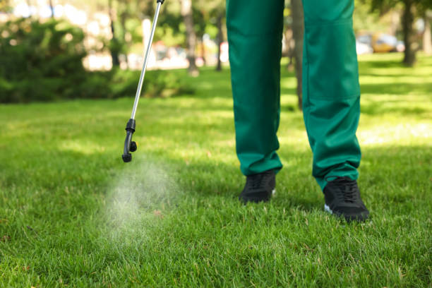 Best Wasp Removal Services  in Erin, TN