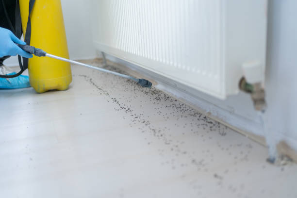 Best Best Pest Control Companies  in Erin, TN