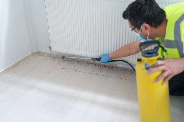 Best Local Pest Control Services  in Erin, TN