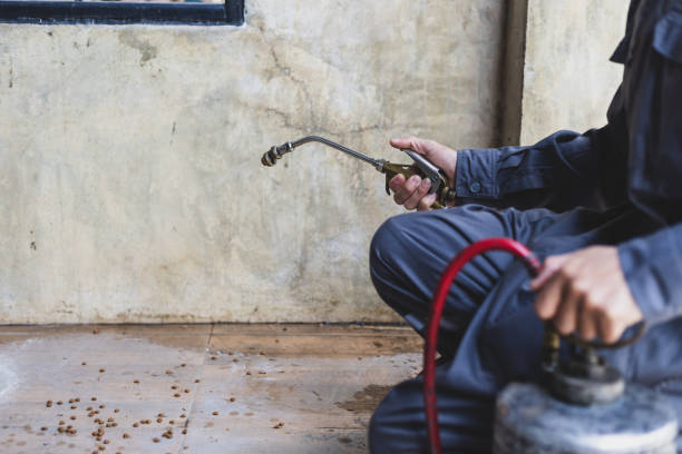 Best Pest Removal Services  in Erin, TN